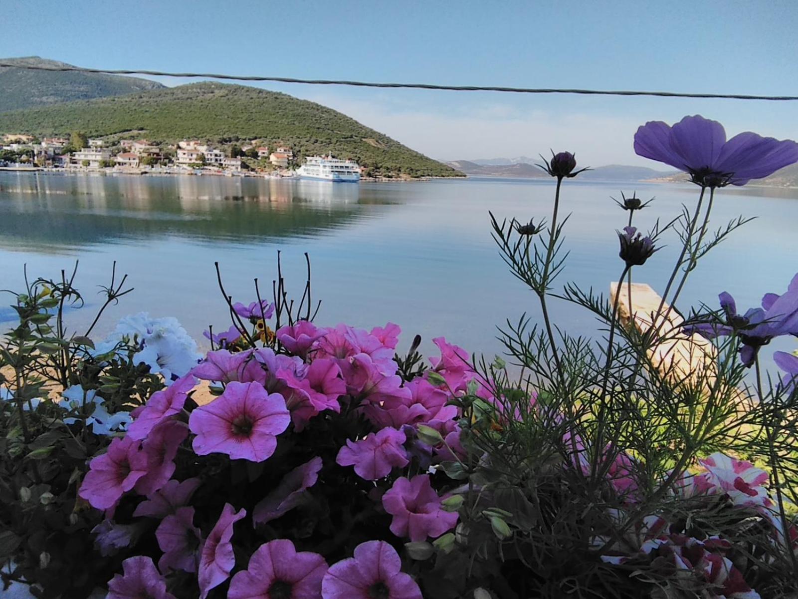 Meli-Ios Guest House Almiropótamos Екстериор снимка